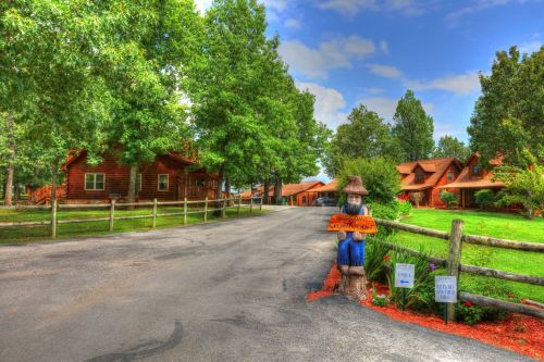 A scenic view of a tree-lined road leading to rustic cabins, with a wooden statue and signs on either side.
