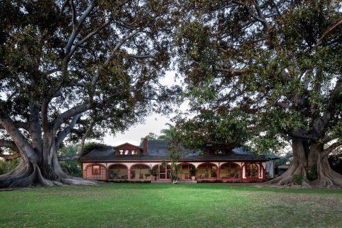 A charming house framed by large trees, set in a lush green yard during twilight.