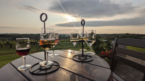 Glasses of wine on a table with a scenic vineyard view at sunset.