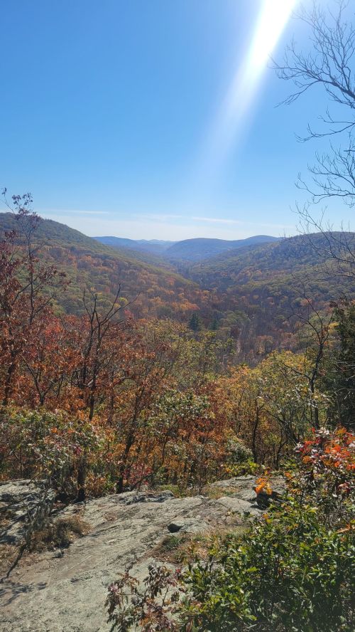 A scenic view of colorful autumn foliage in a mountainous landscape under a clear blue sky.