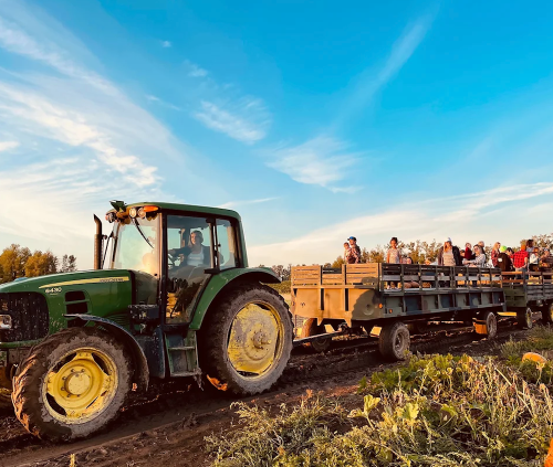 A green tractor pulls a trailer with people in a field under a blue sky with wispy clouds.