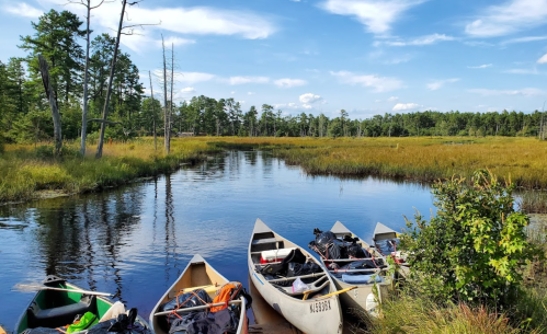 Canoes lined up by a calm river, surrounded by lush greenery and a clear blue sky.
