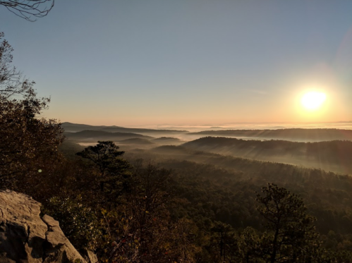 A serene sunrise over misty mountains, with trees silhouetted against the golden light.