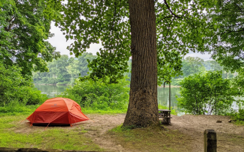 A bright orange tent sits by a river, surrounded by lush greenery and a large tree, creating a peaceful camping scene.