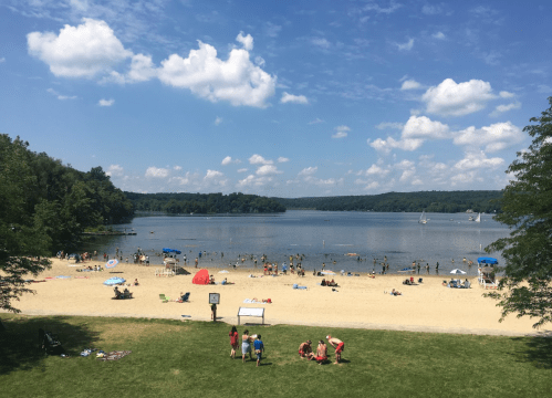 A sunny beach scene with people swimming and relaxing by the water, surrounded by trees and blue skies.