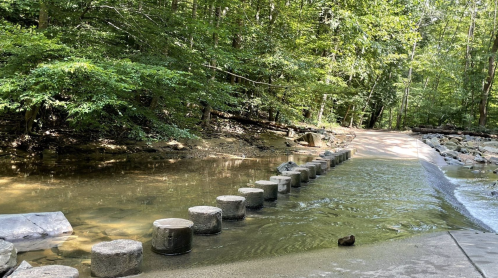 Stepping stones across a shallow stream in a lush green forest, with a dirt path visible in the background.
