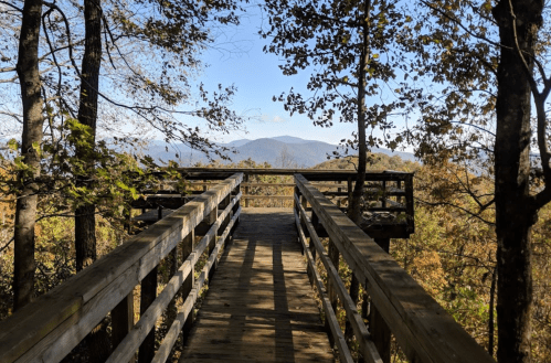 A wooden observation deck surrounded by trees, offering a view of distant mountains under a clear blue sky.