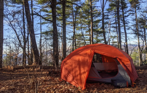An orange tent set up in a wooded area with trees and fallen leaves, against a backdrop of distant mountains.
