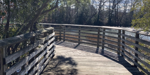 A wooden boardwalk curves around a serene pond, surrounded by trees and sunlight casting shadows.