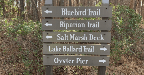 Wooden signpost with directional arrows for various trails: Bluebird, Riparian, Salt Marsh Deck, Lake Ballard, and Oyster Pier.
