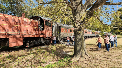 A vintage train parked near a tree, with a group of people gathered around it, enjoying the scenery.