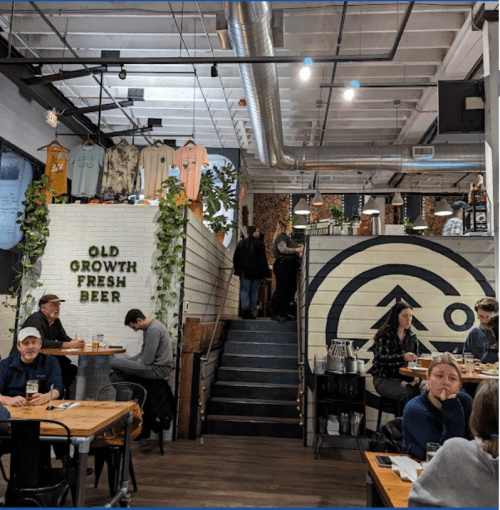A cozy brewery interior with wooden tables, plants, and a staircase leading to a higher level. "Old Growth Fresh Beer" sign visible.