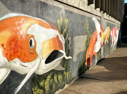 Colorful mural of koi fish swimming along a concrete wall, surrounded by green aquatic plants.