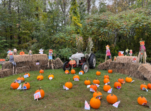 A vintage tractor surrounded by hay bales, pumpkins, and scarecrows in a festive autumn setting.