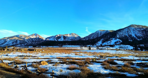 A panoramic view of snow-covered mountains under a clear blue sky, with a grassy field in the foreground.