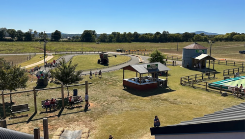 Aerial view of a recreational area with a go-kart track, food stand, and people enjoying the outdoors on a sunny day.