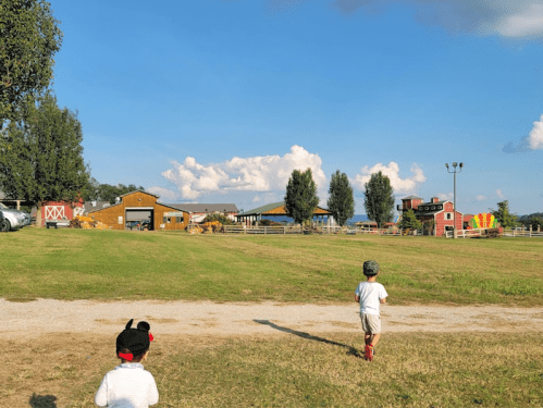 Two children run across a grassy field towards a farm with colorful buildings and a blue sky in the background.