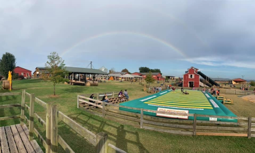 A colorful farm scene with a rainbow, featuring a green inflatable slide and people enjoying the outdoor space.