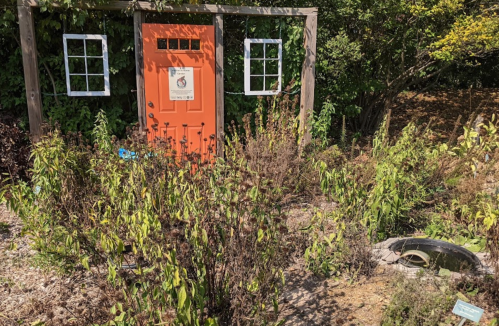 An orange door framed by two windows, surrounded by overgrown plants and a circular opening in the ground.
