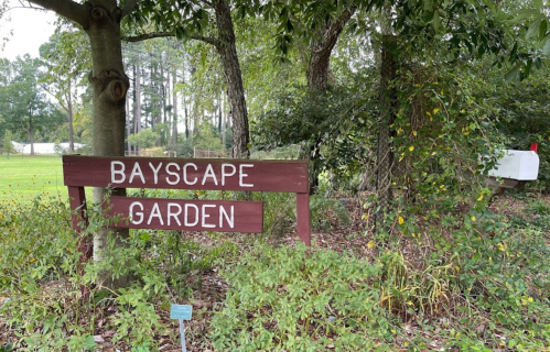 Sign for "Bayscape Garden" surrounded by greenery and trees, with a mailbox visible in the background.