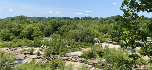 Lush green trees and rocky terrain under a clear blue sky, showcasing a serene natural landscape.