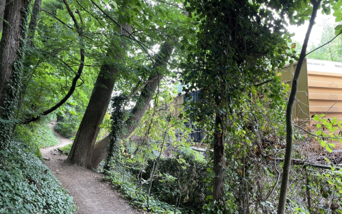 A narrow path winds through a lush, green forest with trees and ivy, leading to a partially hidden structure.