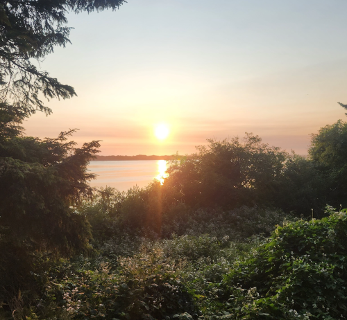 A serene sunset over a calm lake, framed by trees and lush greenery.