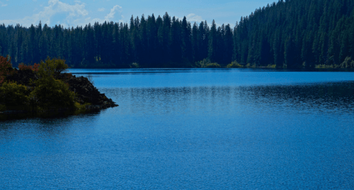 A serene lake surrounded by lush green trees under a clear blue sky.