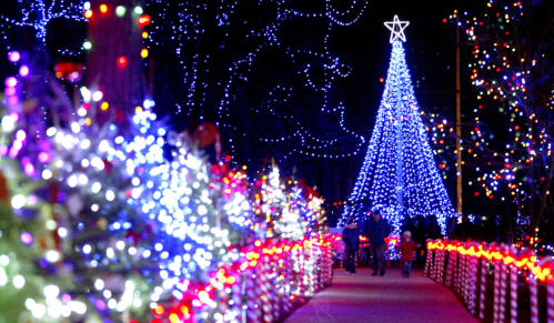 A festive pathway lined with colorful lights, leading to a large illuminated Christmas tree.