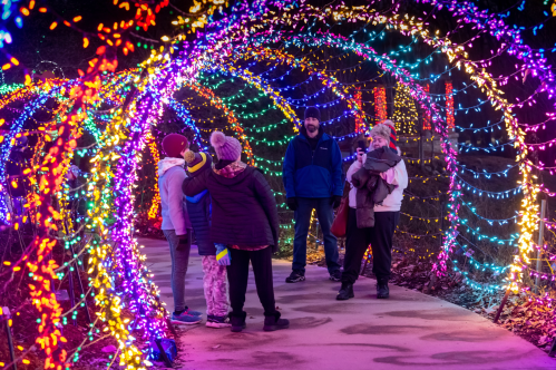 A group of people stands under colorful light arches, enjoying a festive atmosphere at night.