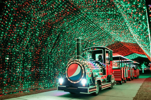 A brightly lit train decorated with colorful lights travels through a tunnel of festive holiday lights.