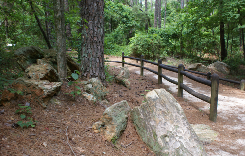 A wooded path with a wooden fence, surrounded by rocks and lush greenery.