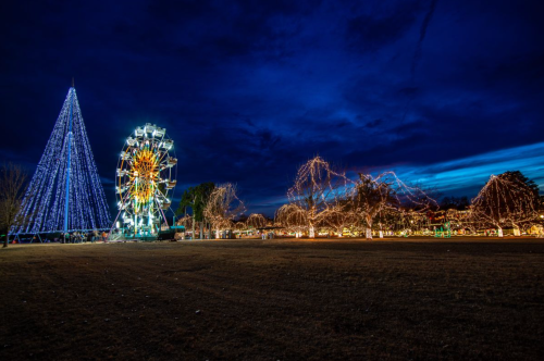 A festive scene featuring a lit Christmas tree, a ferris wheel, and illuminated trees against a twilight sky.