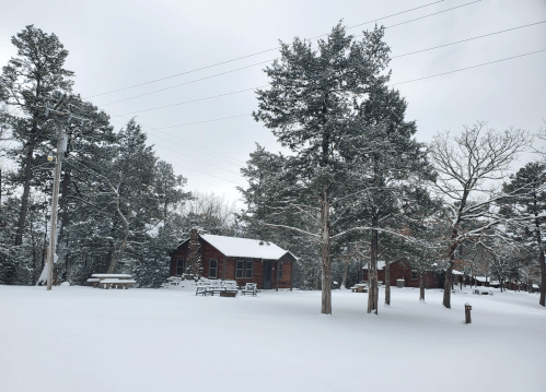 A snowy landscape featuring wooden cabins surrounded by tall trees and power lines under a cloudy sky.