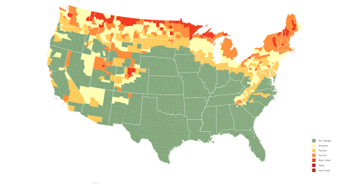 Map of the U.S. showing varying levels of tree cover, with colors indicating density from low to high.
