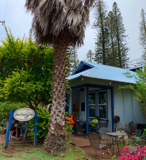 A cozy café with outdoor seating, surrounded by palm trees and lush greenery, under a cloudy sky.