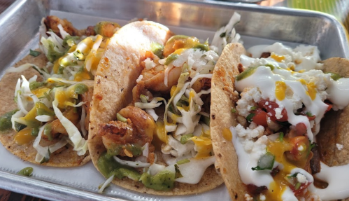 Three tacos on a metal tray, filled with shrimp, cabbage, cheese, and drizzled with sauce.