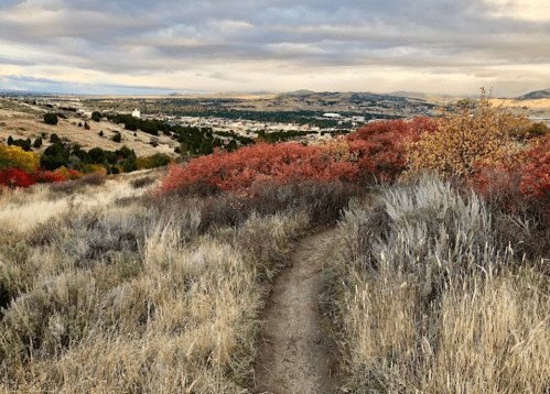 A winding dirt path through grassy hills, surrounded by vibrant autumn foliage and a distant view of a valley.