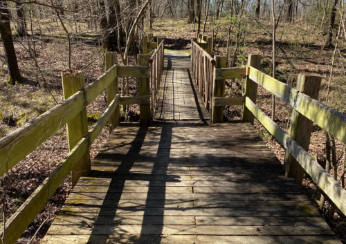 A wooden bridge with green railings spans a forested area, surrounded by trees and dappled sunlight.