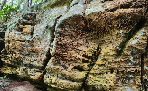 Textured rock formation with intricate patterns and natural erosion, surrounded by greenery.