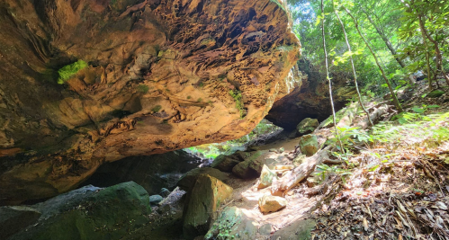 A rocky overhang in a lush forest, with sunlight filtering through trees and boulders scattered on the ground.