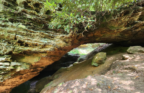 A natural rock arch surrounded by lush greenery and textured stone formations in a serene outdoor setting.