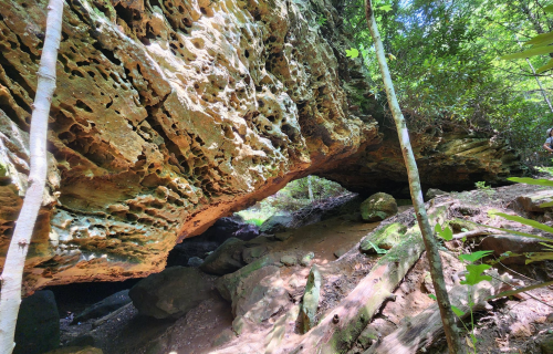 A natural rock arch surrounded by lush greenery and scattered boulders in a forested area.