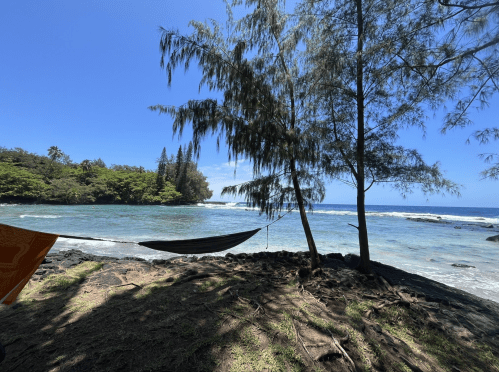 A serene beach scene with a hammock between trees, clear blue water, and lush greenery under a bright sky.