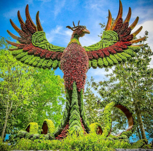 A large, colorful topiary sculpture of a phoenix surrounded by greenery and blue sky.