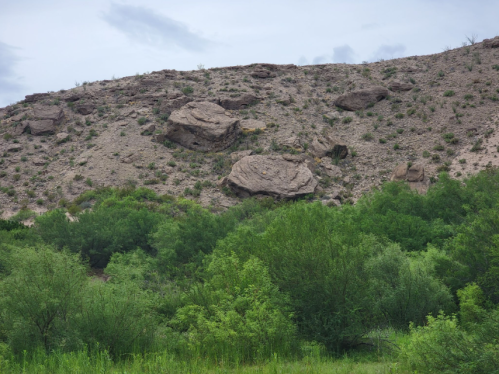 A rocky hillside with sparse vegetation and green shrubs in the foreground under a cloudy sky.