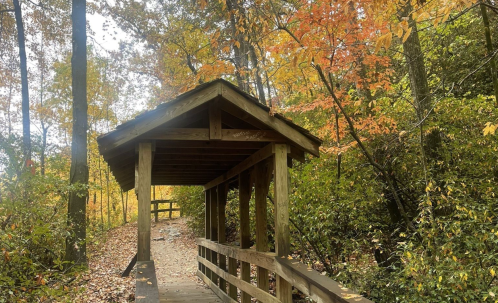 A wooden shelter on a path surrounded by vibrant autumn foliage and trees.