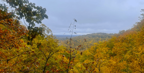 A scenic view of rolling hills covered in vibrant autumn foliage under a cloudy sky.