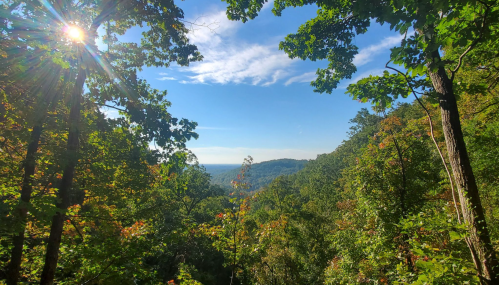 A scenic view of a lush forest with sunlight filtering through the trees, overlooking rolling hills and a clear blue sky.