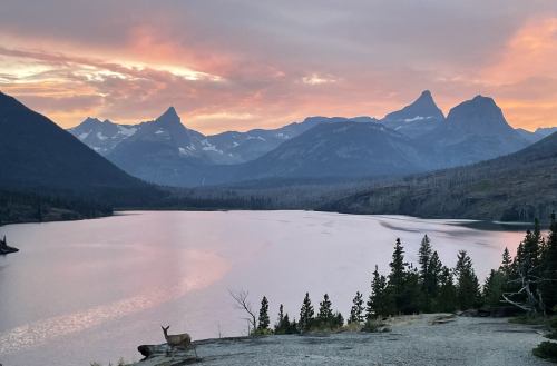 A serene lake at sunset, surrounded by mountains and trees, with a deer standing near the water's edge.